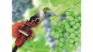 Compresores de pistón industriales KAESER en la viticultura.